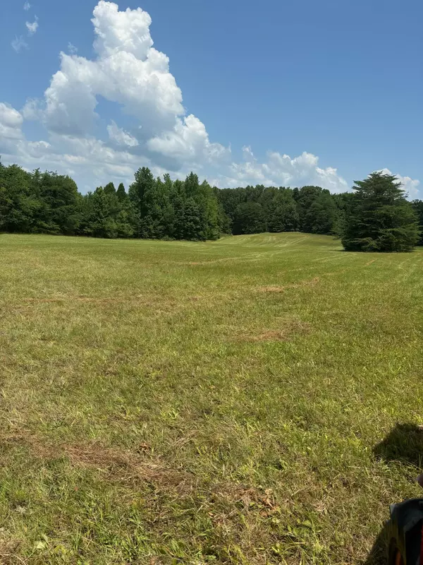 15 Mccabe RD, Spring City, TN 37381