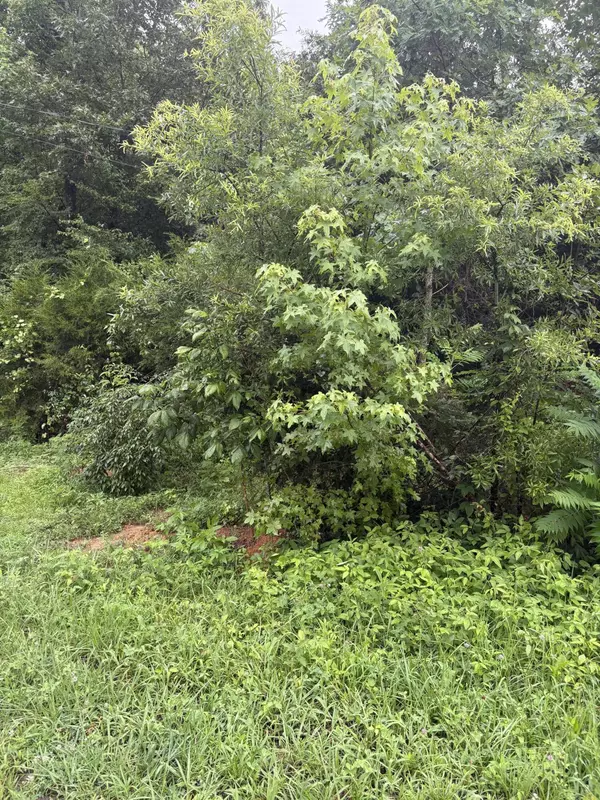 349 Carolyn LN, Decatur, TN 37322