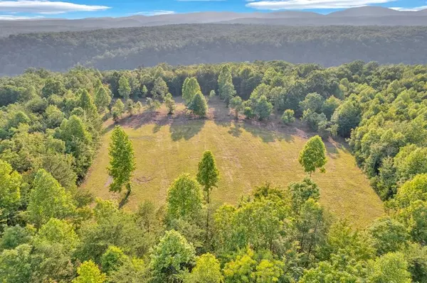 Grandview, TN 37337,1450 Soak Creek Ln LN