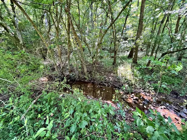 Kingston, TN 37763,Lot 7 Raby Hollow Road