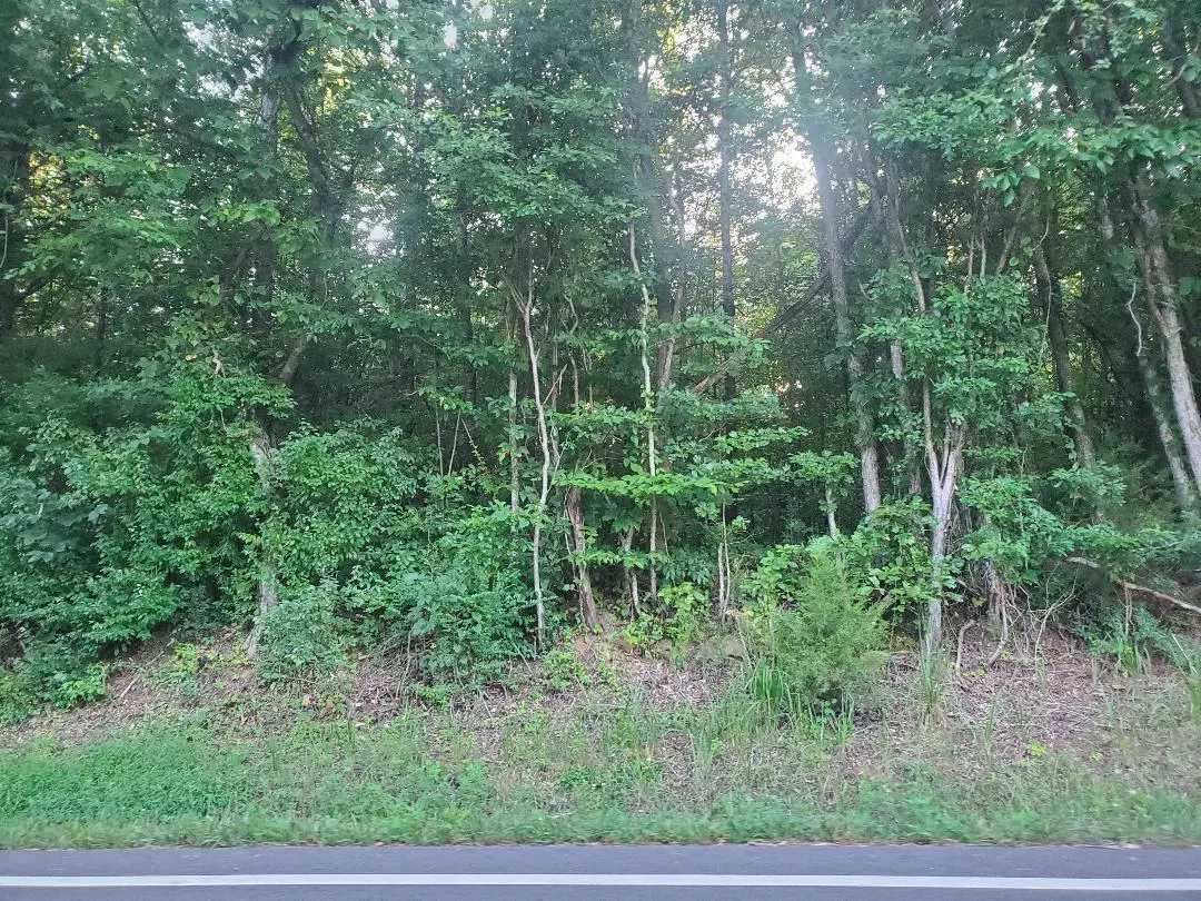 Decatur, TN 37322,Lot 9 Highway 304