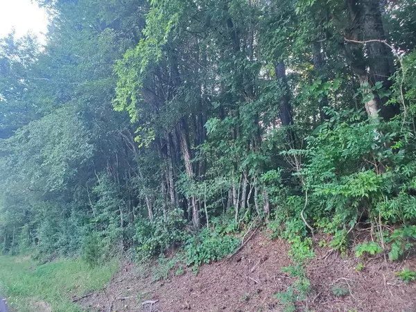 Decatur, TN 37322,Lot 9 Highway 304