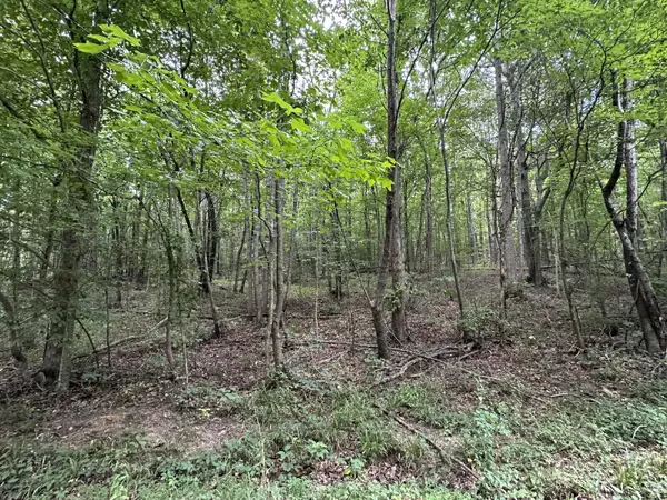 Etowah, TN 37331,Tract 1 County Road 897