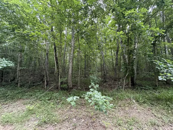 Etowah, TN 37331,Tract 1 County Road 897