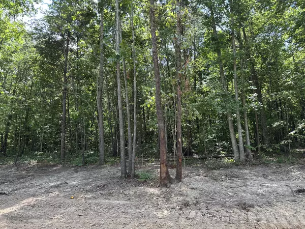 Etowah, TN 37331,Tract 3 County Road 897