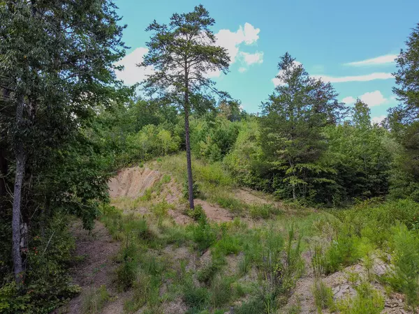 Decatur, TN 37322,522 Ferguson Road