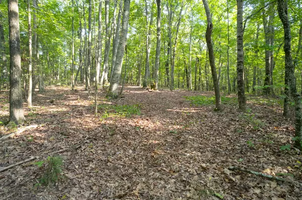 Niota, TN 37826,00 County Road 274