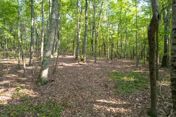 Niota, TN 37826,00 County Road 274