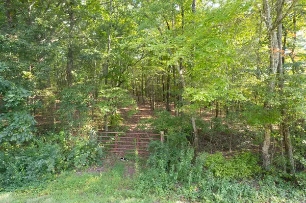 Niota, TN 37826,00 County Road 274