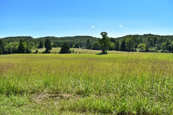 Spring City, TN 37381,Lot 33 Spring Harbor DR