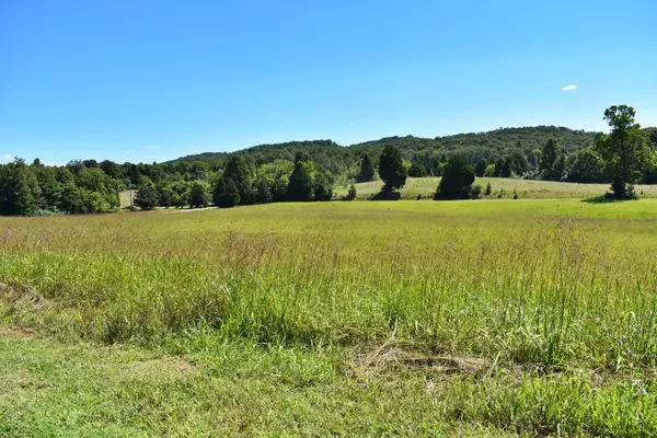 Spring City, TN 37381,Lot 33 Spring Harbor DR