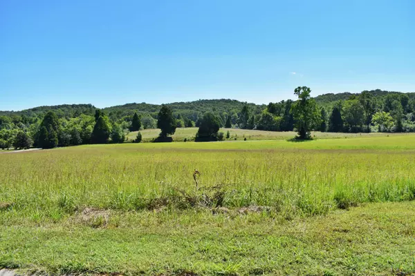 Spring City, TN 37381,Lot 34 Spring Harbor DR