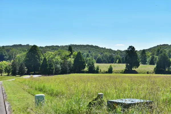 Spring City, TN 37381,Lot 35 Spring Cove LN