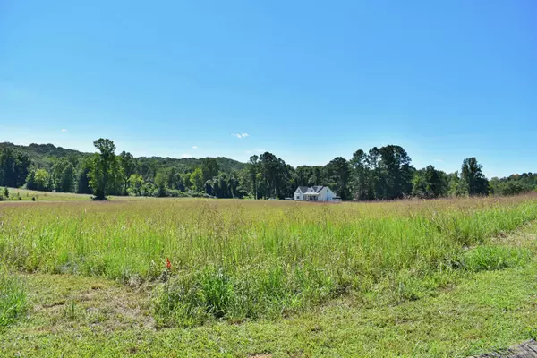 Spring City, TN 37381,Lot 35 Spring Cove LN