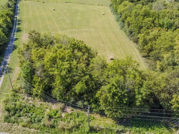 Decatur, TN 37322,Lot 3 Goodfield Road