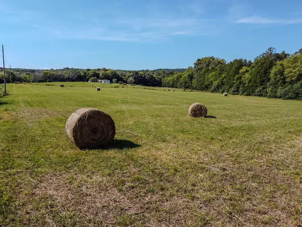 Decatur, TN 37322,Lot 3 Goodfield Road