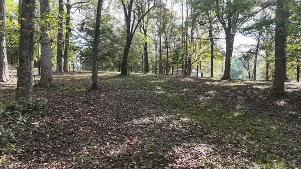 Old Fort, TN 37362,262 Davis RD SE