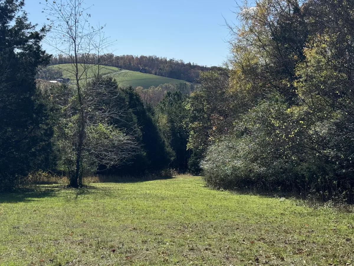 Decatur, TN 37322,Lot 29 Goodfield TER