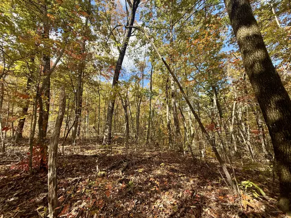 Spring City, TN 37381,Lot 77/78 Red Oak LN