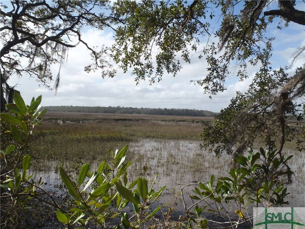 Lot 163 Julienton DR, Townsend, GA 31331