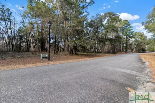 Townsend, GA 31331,Lot 17 Blue Marlin DR