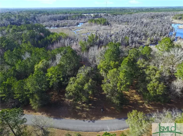 Townsend, GA 31331,Lot 17 Blue Marlin DR