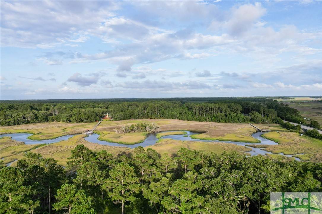 LOT 2 Retreat LN, Townsend, GA 31331