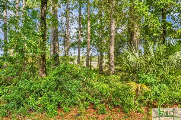 Townsend, GA 31331,LOT 11 Baker Island WAY