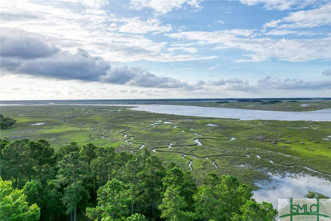 Townsend, GA 31331,LOT 24 River View CT