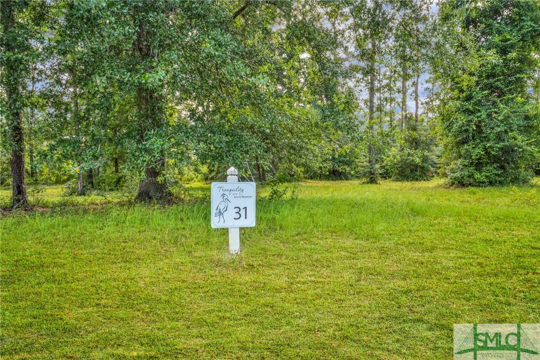 LOT 31 Tranquility PL, Townsend, GA 31331