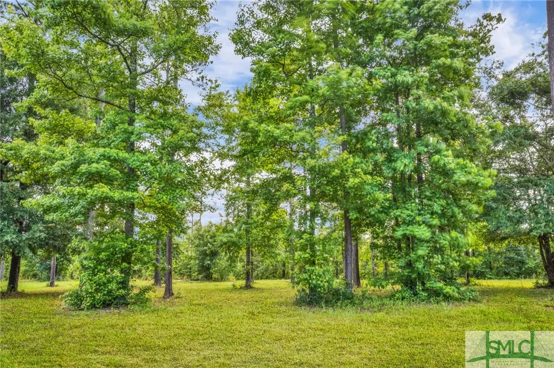 Townsend, GA 31331,LOT 34 Tranquility PL