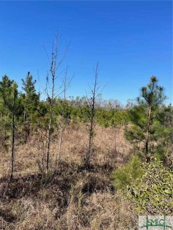 Sylvania, GA 30467,0 Rocky Ford RD