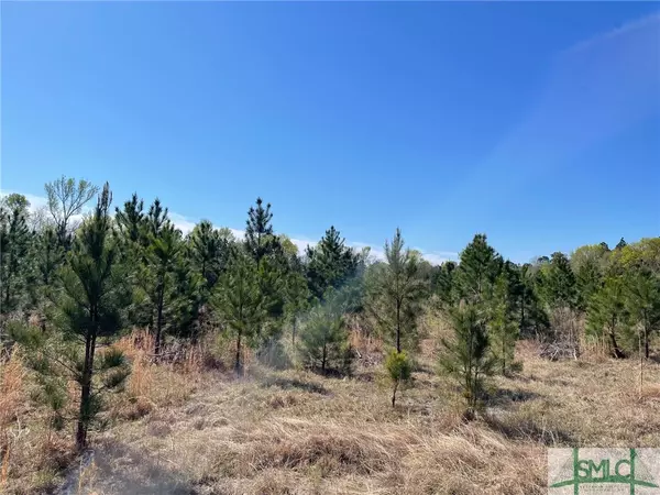 Sylvania, GA 30467,0 Rocky Ford RD