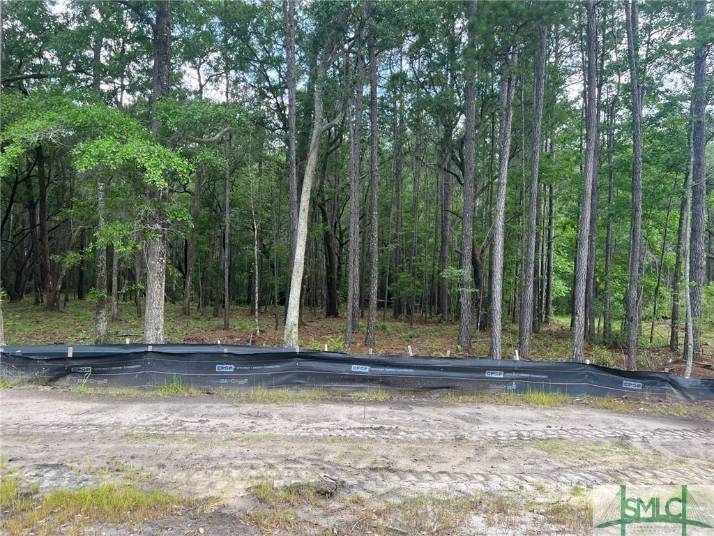Pooler, GA 31322,161 Wood Haven LN