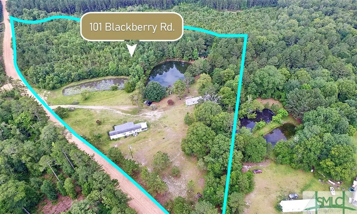 Swainsboro, GA 30401,101 Black Berry RD