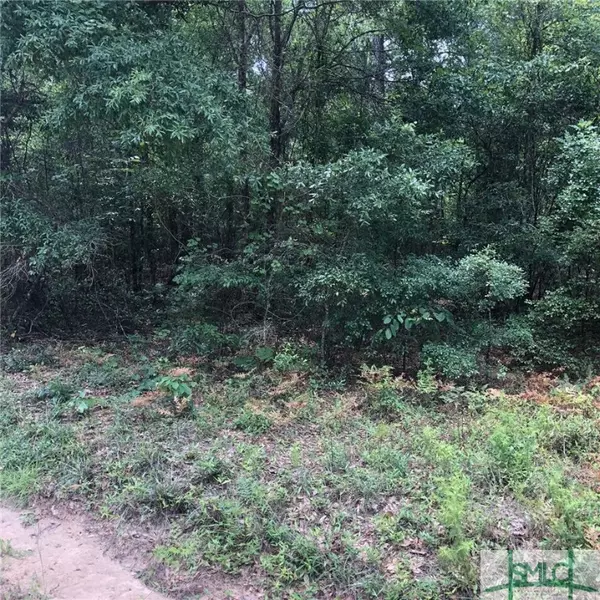 Clyo, GA 31303,2323 Old Augusta RD