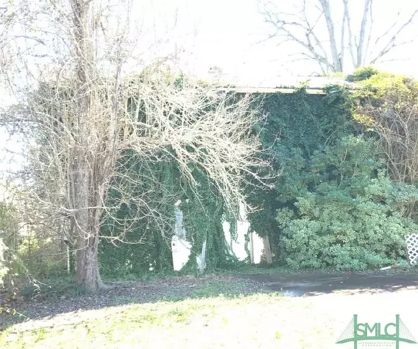 Hiltonia, GA 30467,121 First AVE