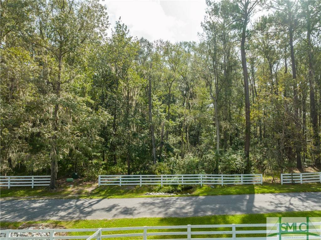 Richmond Hill, GA 31324,163 Travelers WAY