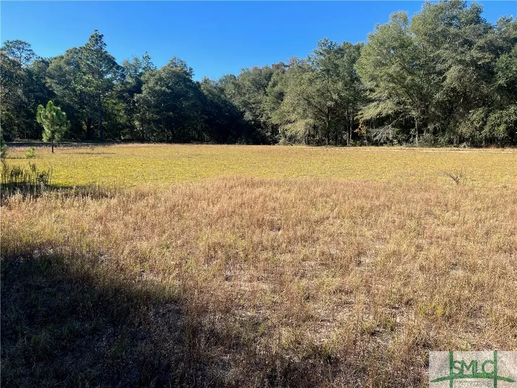 Eden, GA 31307,0 Redding DR