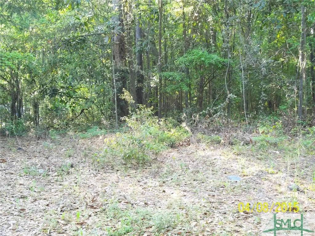 0 Salt Creek RD,  Savannah,  GA 31405