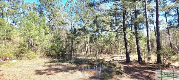 Pembroke, GA 31321,80 Burnsed RD #Lot B