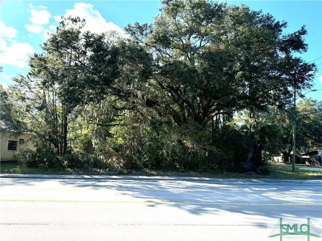 Rincon, GA 31326,419 N Columbia AVE