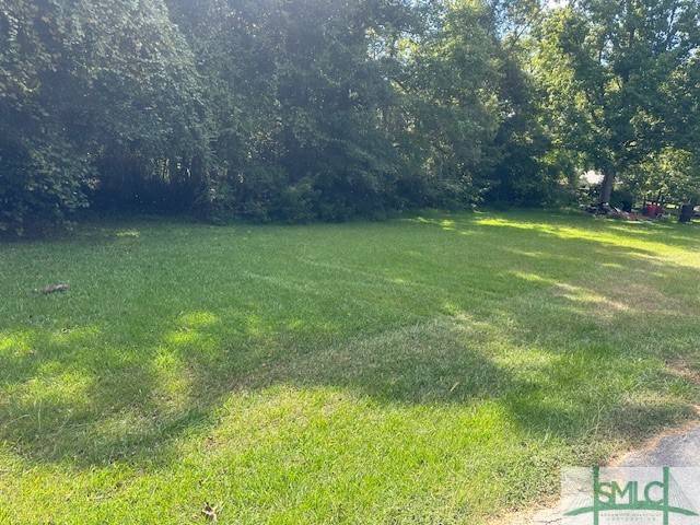 Hampton, SC 29924,TBD Middle ST