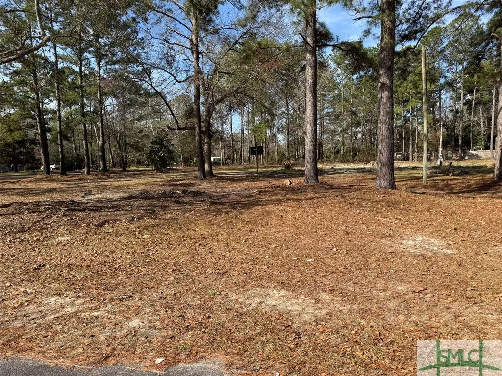 Ellabell, GA 31308,305 Woodside WAY