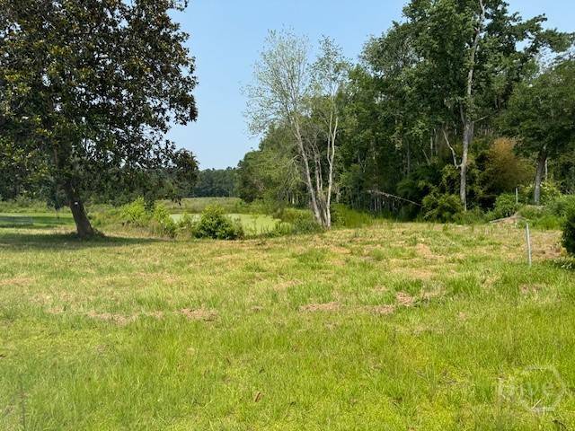 0 US HWY 17 HWY, Townsend, GA 31331