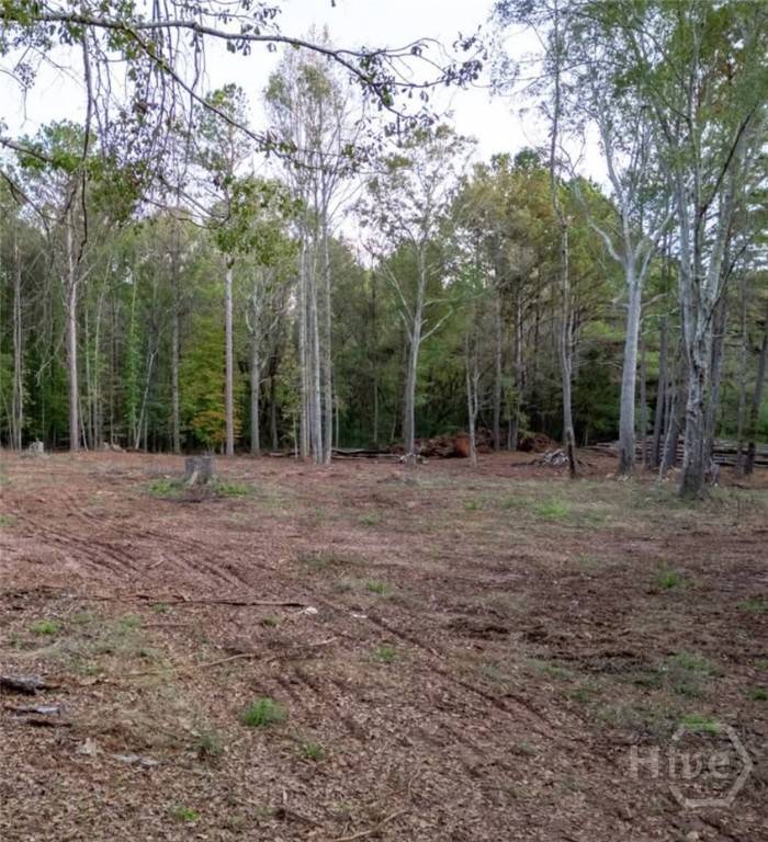 0 Seven Islands RD, Madison, GA 30650