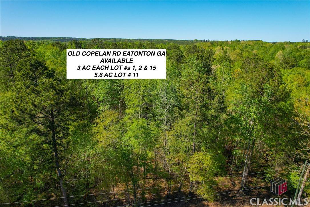 Lot 11 Old Copelan RD, Eatonton, GA 31024