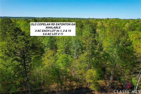 Lot 11 Old Copelan RD, Eatonton, GA 31024