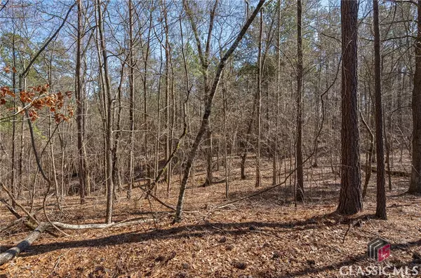 0 Kent Rock RD, Loganville, GA 30052