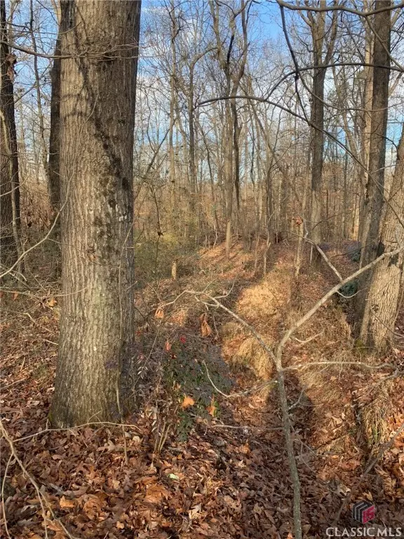 Alto, GA 30510,7700 Poole CIR #Tract A